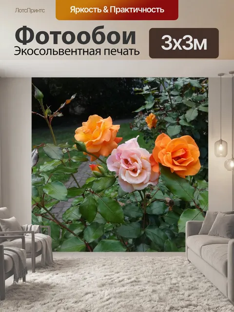 Фотообои Роза