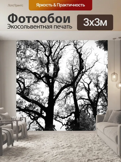 Фотообои Деревья