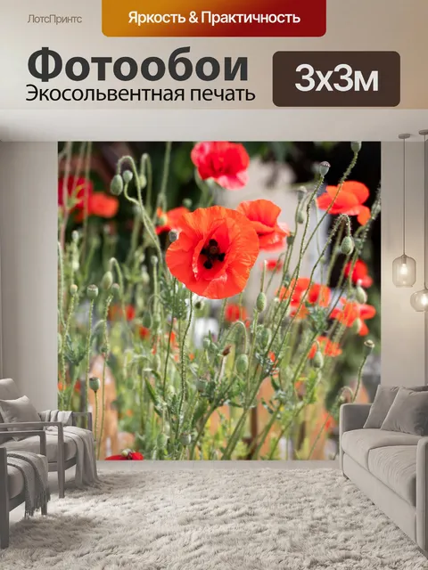 Фотообои Мак