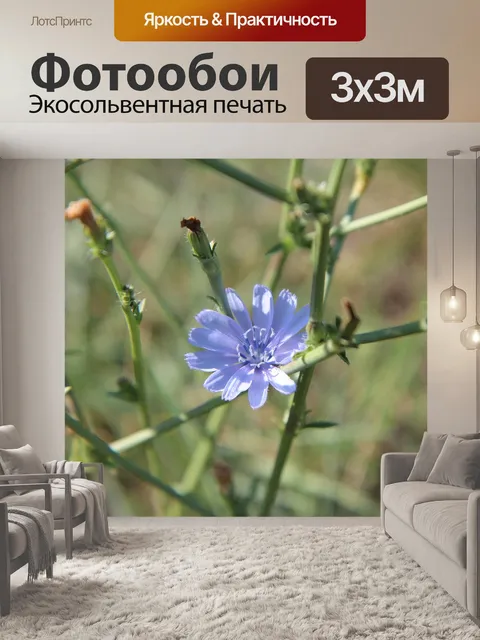 Фотообои Цветы