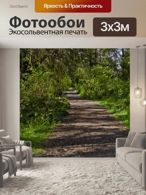 Фотообои Путь, связанный с деревьями