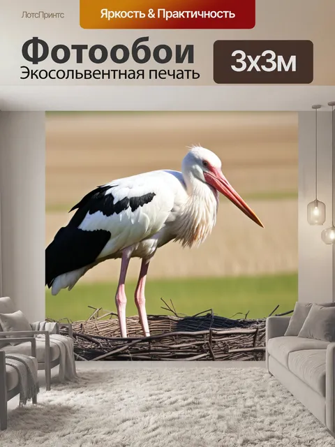 Фотообои красивый