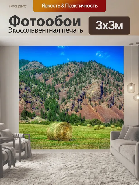 Фотообои Монтана
