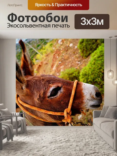Фотообои Мой друг