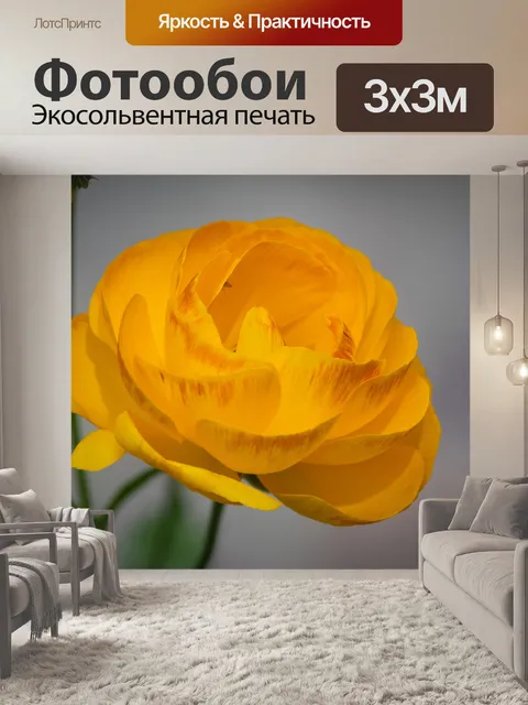 Фотообои Желтый цветок, тюльпан