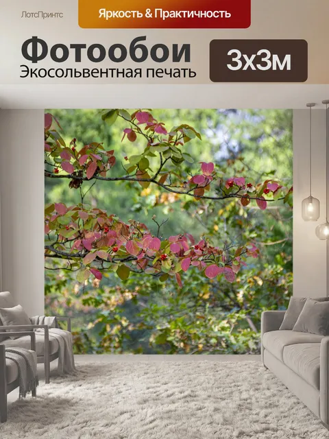 Фотообои Осенние листья