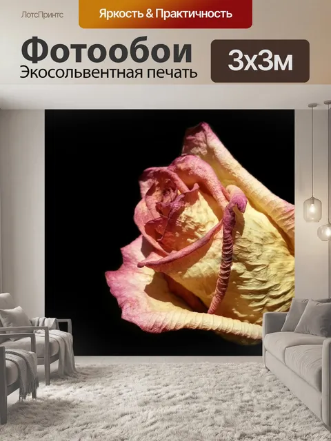 Фотообои Увядшие розы