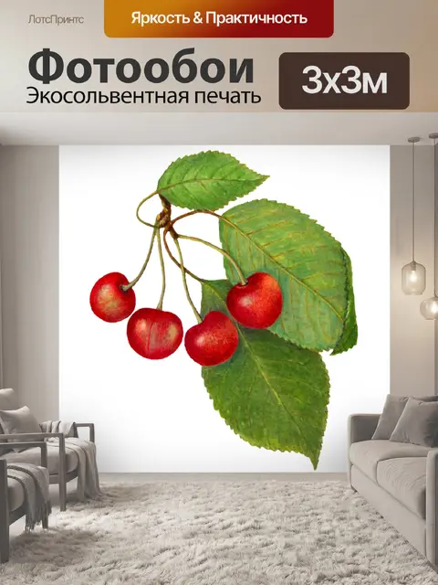 Фотообои Фрукты винтажные вишни арт