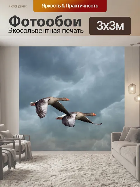 Фотообои Птицы Полет грозовое небо