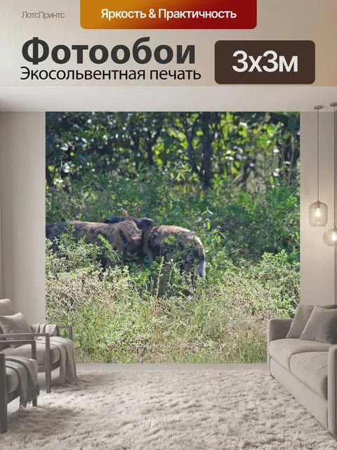 Фотообои две африканские дикие собаки