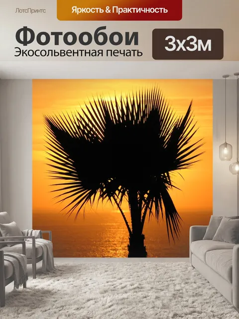 Фотообои Пальма