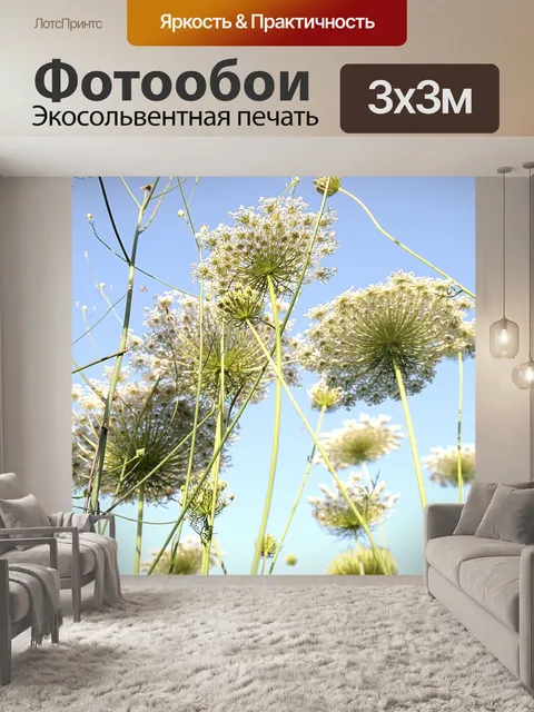Фотообои Квин Энн кружевные цветы в поле
