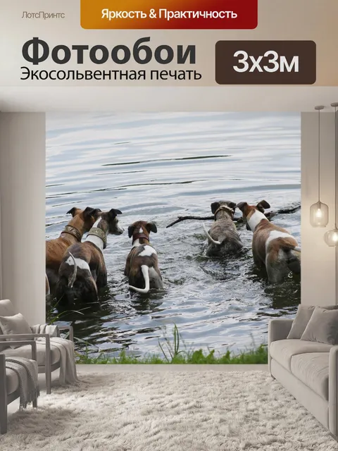 Фотообои Природа