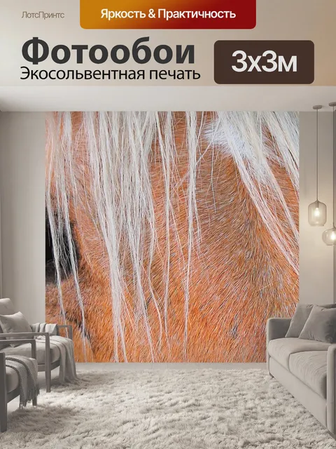 Фотообои Лошадь