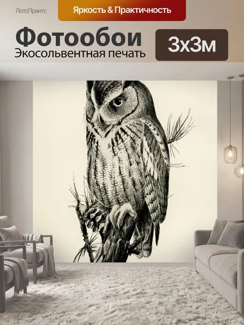 Фотообои Винтажная иллюстрация совы