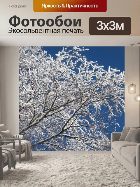 Фотообои Березовые ветки