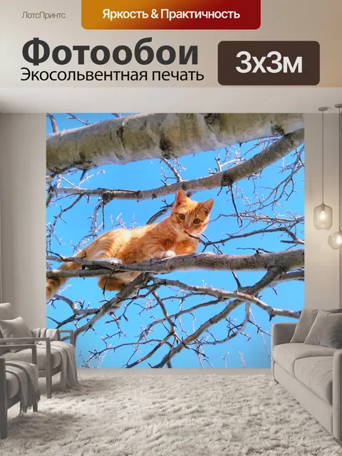 Фотообои Кошка