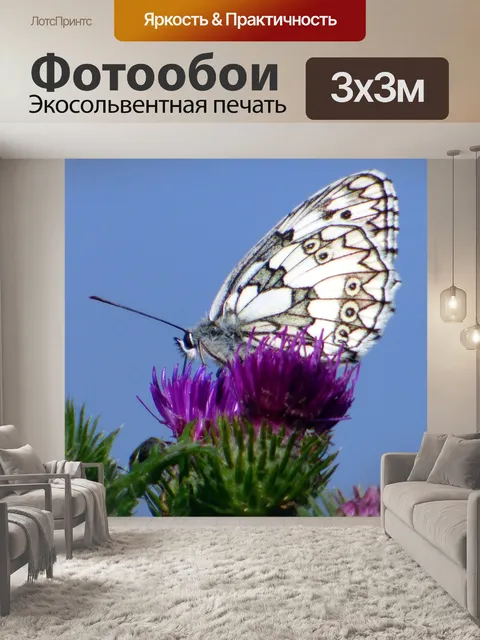 Фотообои Весна