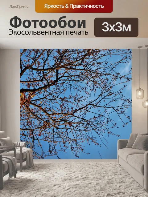 Фотообои Засорен