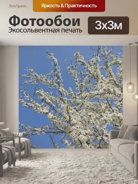 Фотообои Белые цветы