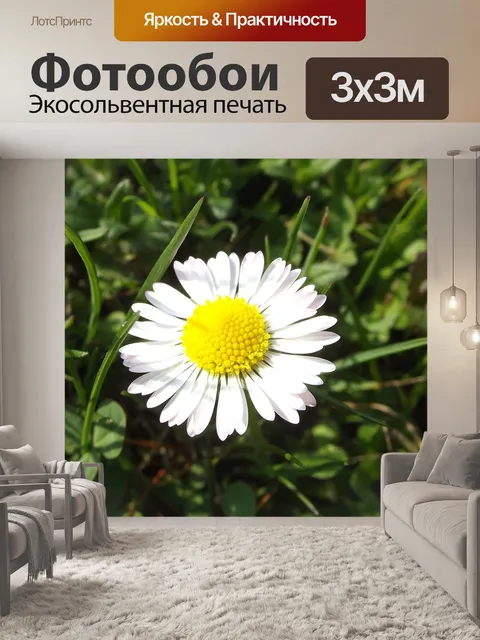 Фотообои Дейзи
