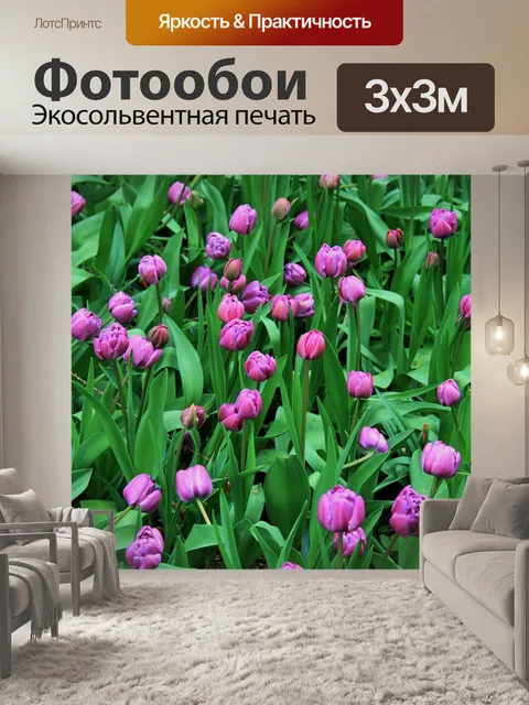 Фотообои тюльпаны, ботанические сады, москва