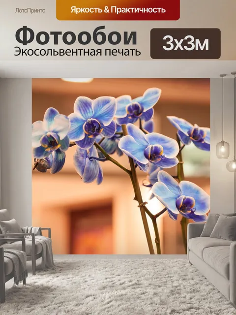 Фотообои Орхидеи
