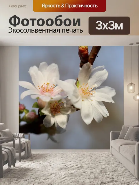 Фотообои Зимняя вишня