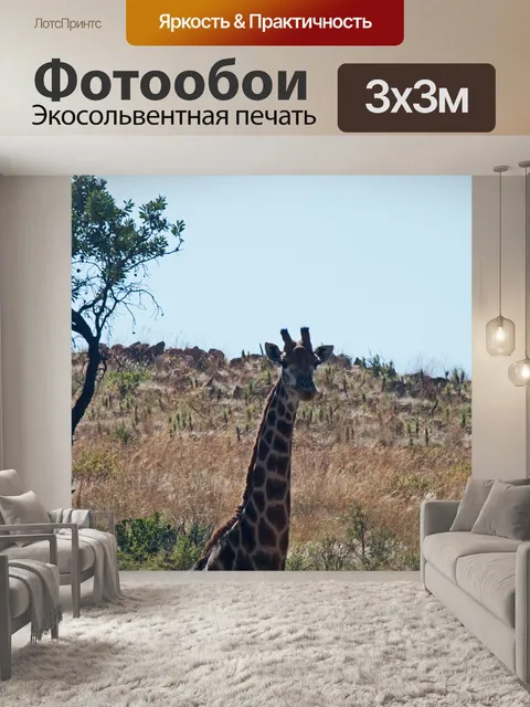 Фотообои высокий жираф против скалистого холма