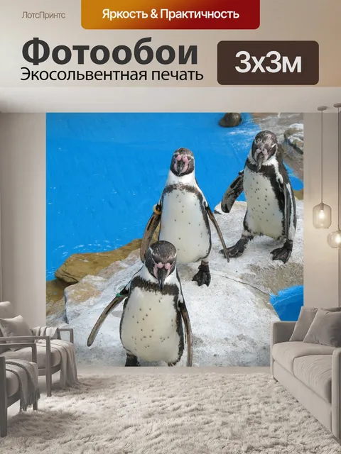 Фотообои Вода