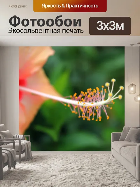 Фотообои пыльник