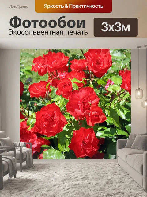 Фотообои Цветочный выстрел в Италии