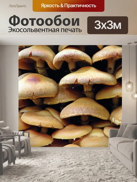Фотообои Грибы