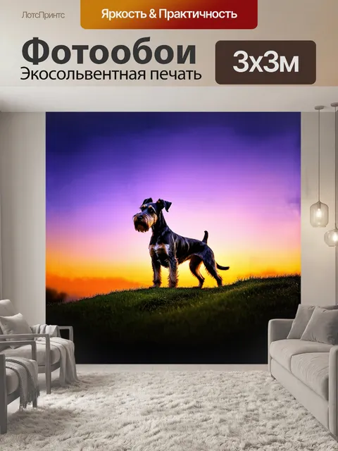 Фотообои шнауцер, стоящий на вершине холма и гордо смотрящий на закат