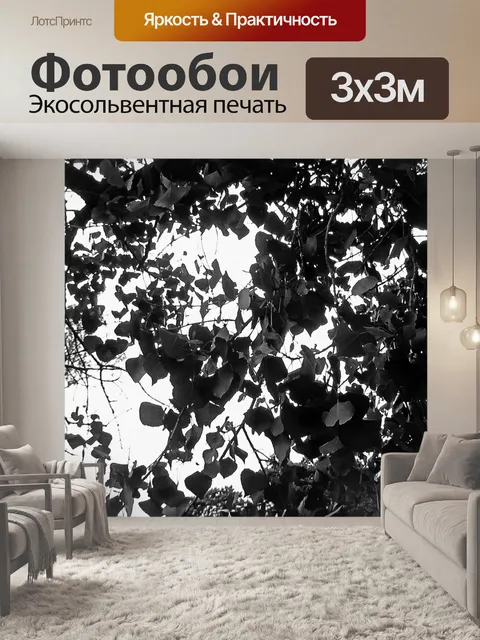 Фотообои Черно-белые листья