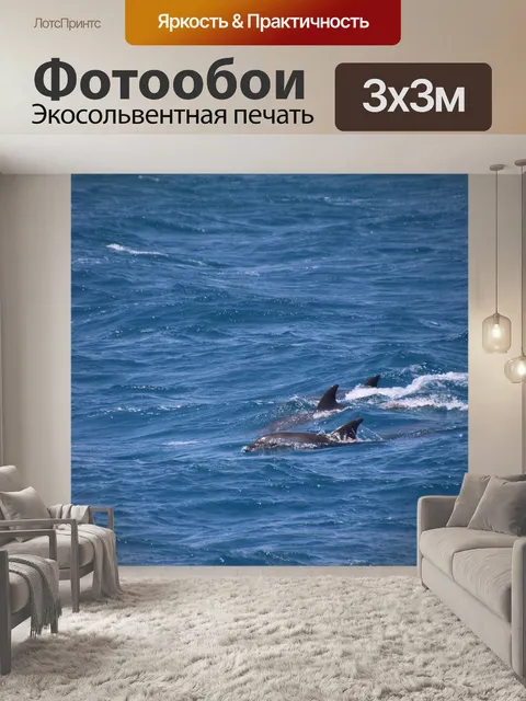 Фотообои Дельфины