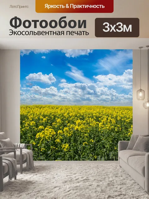 Фотообои Луг и голубое небо