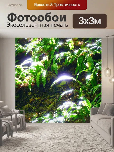 Фотообои Лес