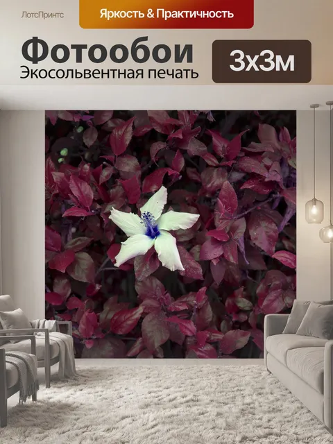 Фотообои Цветок