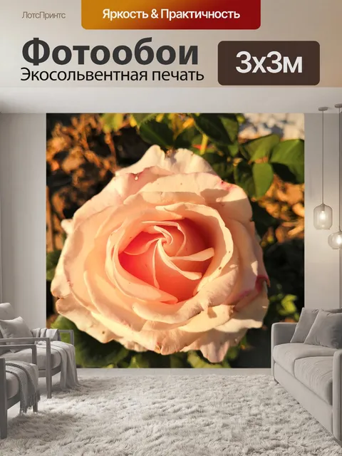 Фотообои Роза