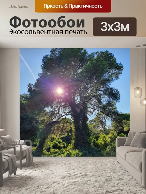Фотообои Естественная красота