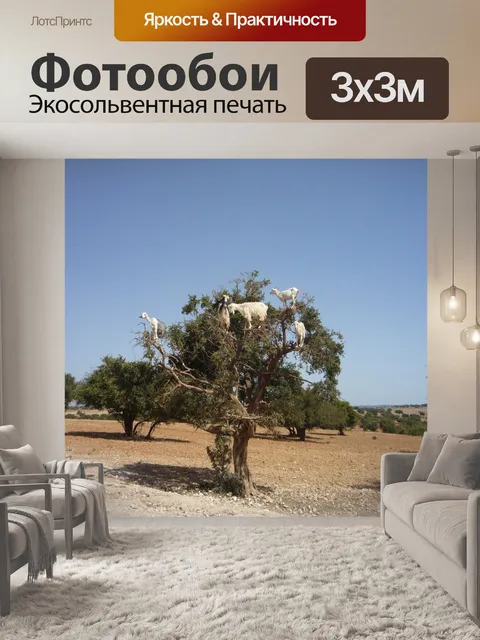 Фотообои Аргановое дерево