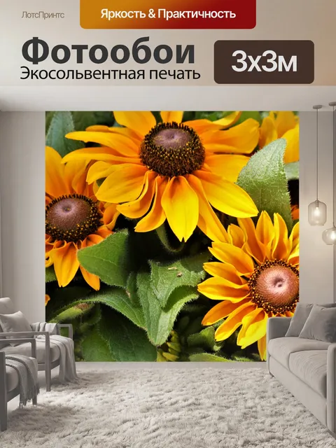 Фотообои Три черноглазых цветка Сьюзен