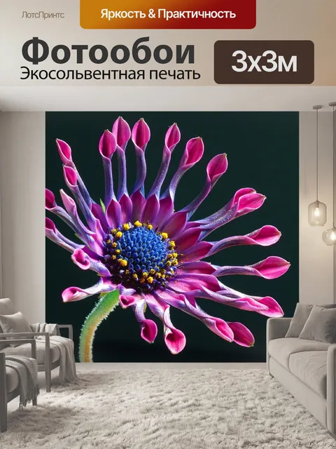 Фотообои Африканский цветок маргаритки