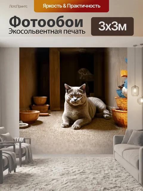Фотообои британская короткошерстная кошка
