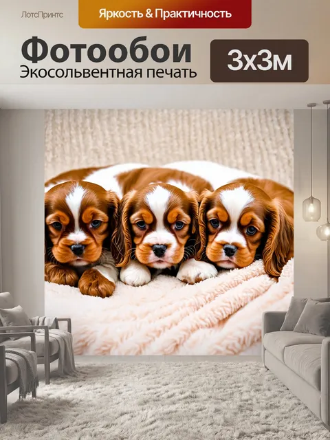 Фотообои щенки кавалер-кинг-чарльз, уютно устроившиеся в пледе, с ангельскими лицами