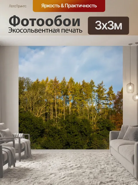 Фотообои дерево