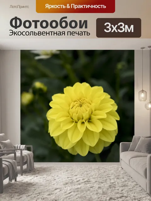 Фотообои Цветок