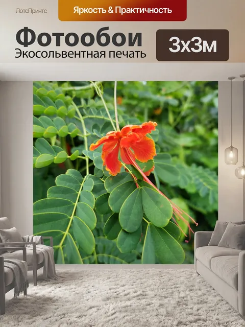 Фотообои Красный