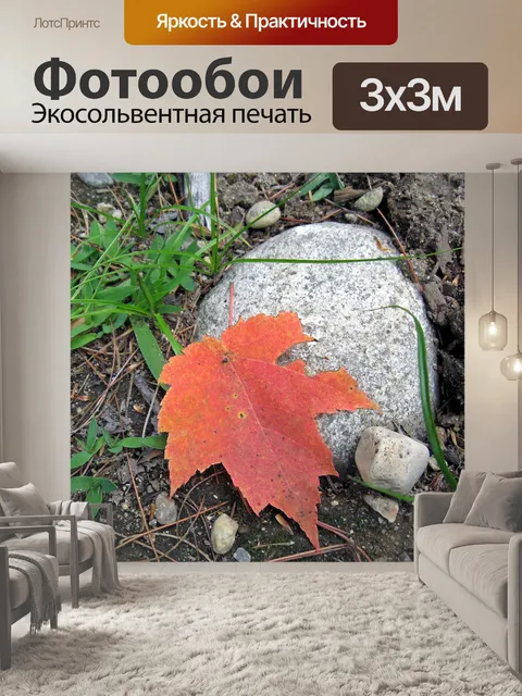 Фотообои Лист
